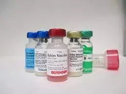  Veterinary Vaccine